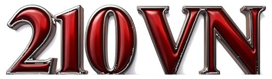 210vn logo